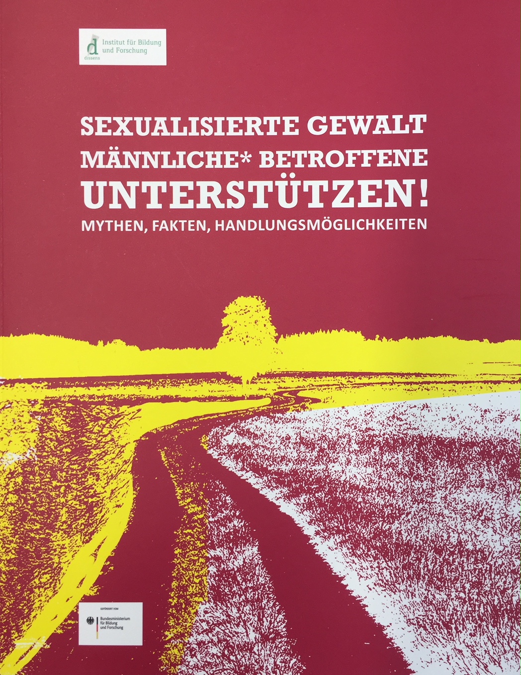 Broschüre "Sexualisierte Gewalt - Männliche* Betroffene unterstützen" von Dissens